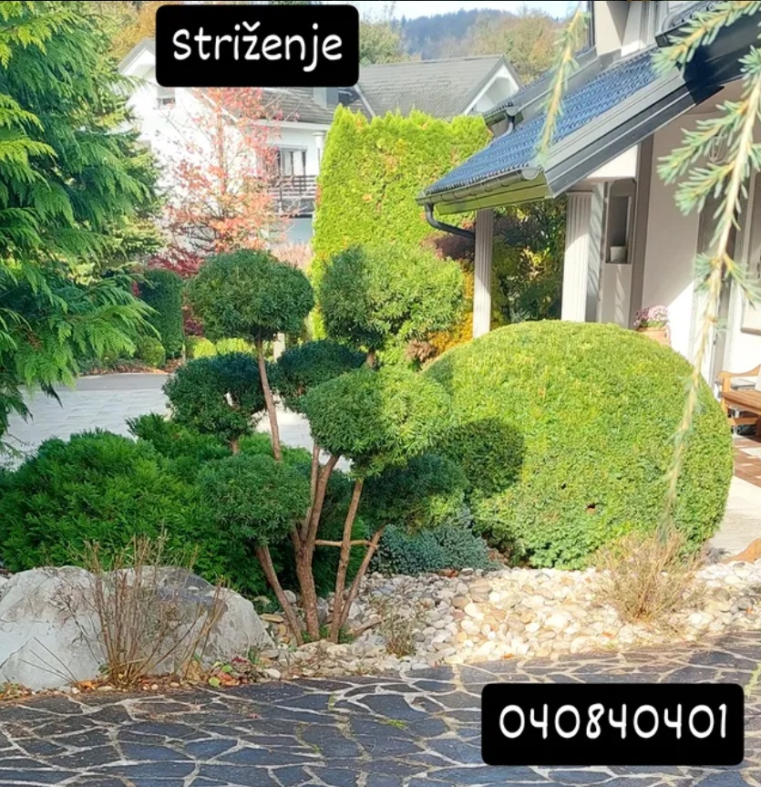 Okolica 1