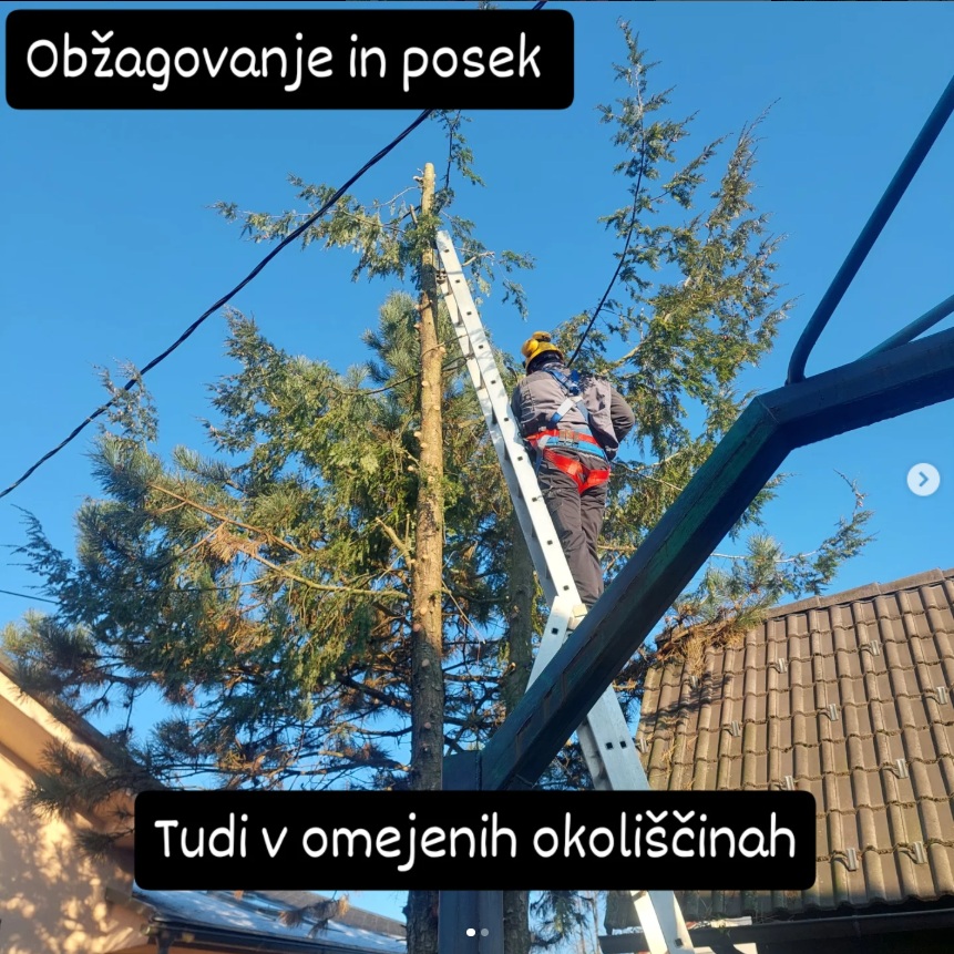 Okolica 3